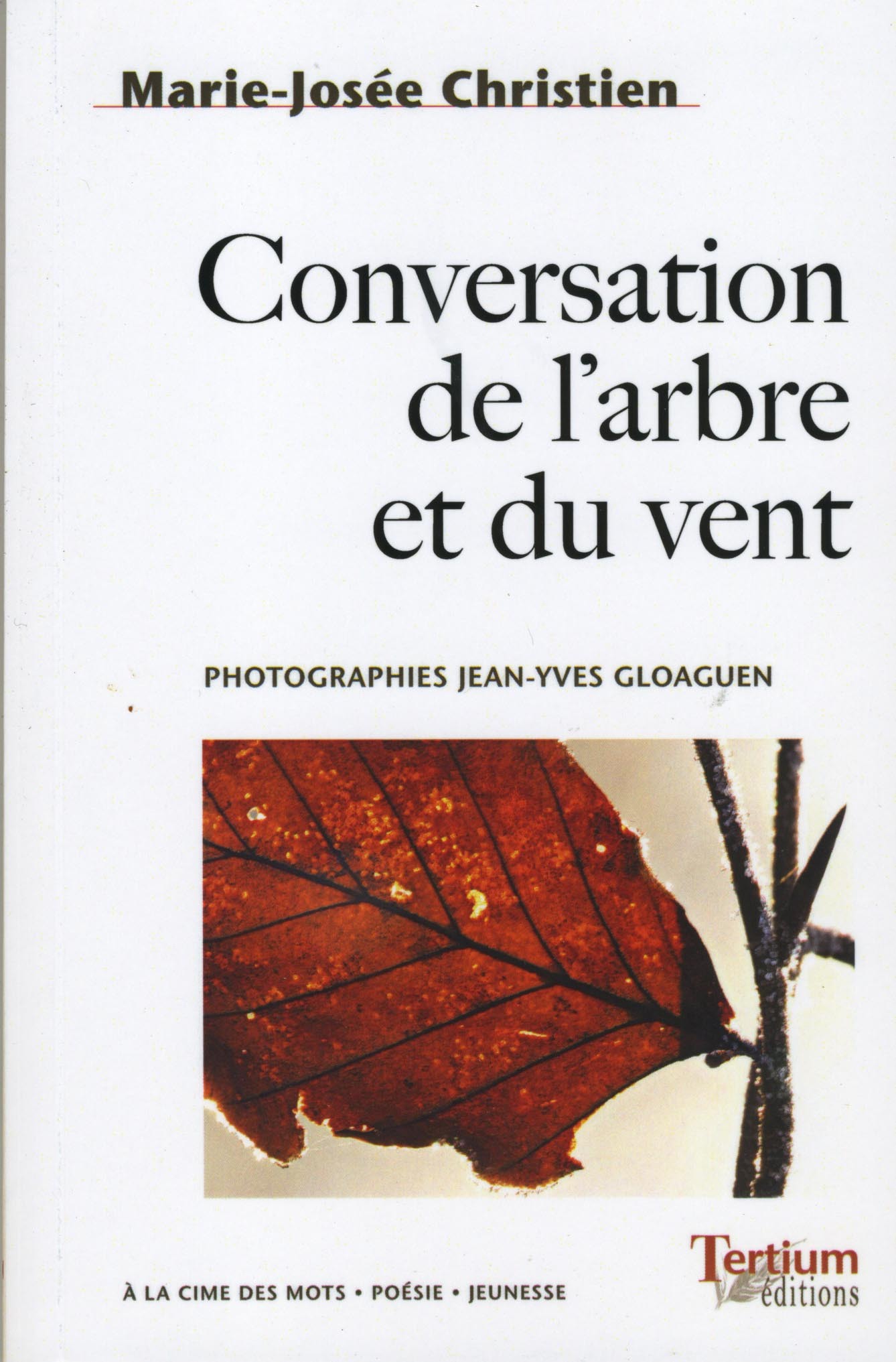 Conversation de l'arbre et du vent