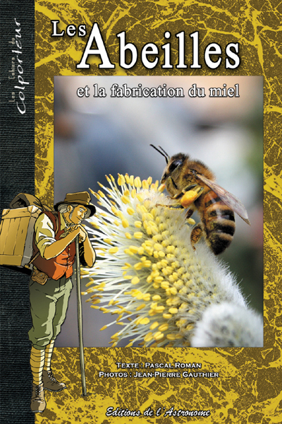 Les Abeilles Et La Fabrication Du Miel