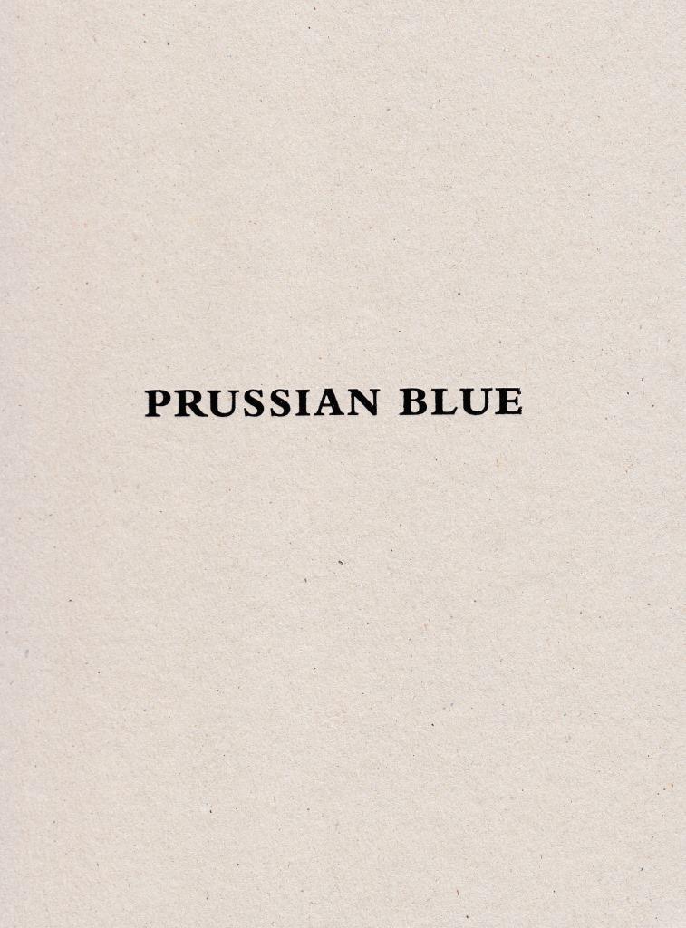Yishai Jusidman Prussian Blue (catalogue expo MUAC) /anglais