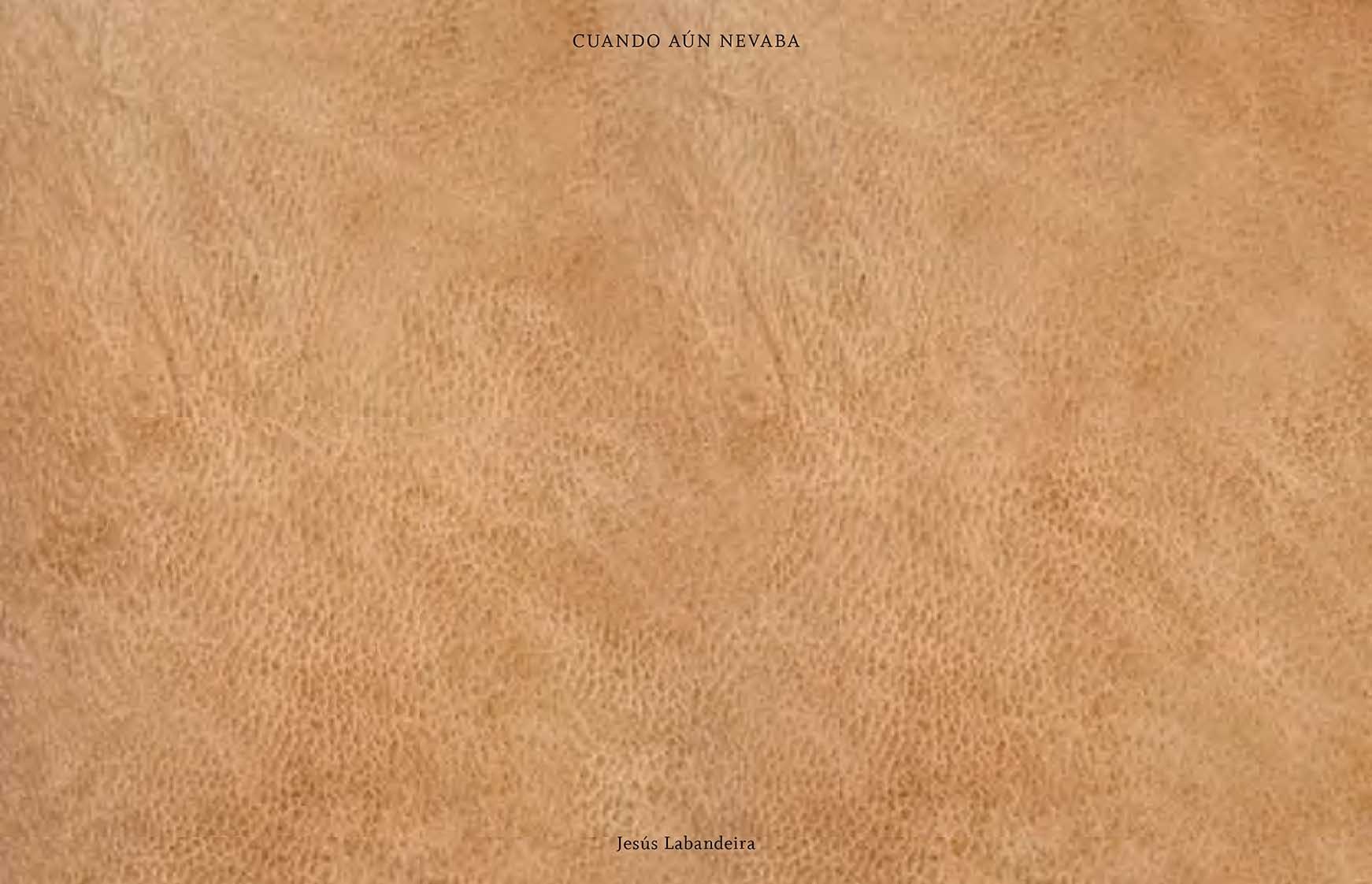 Jesus Labandeira Cuando aUn nevaba (When It Still Used To Snow) /anglais