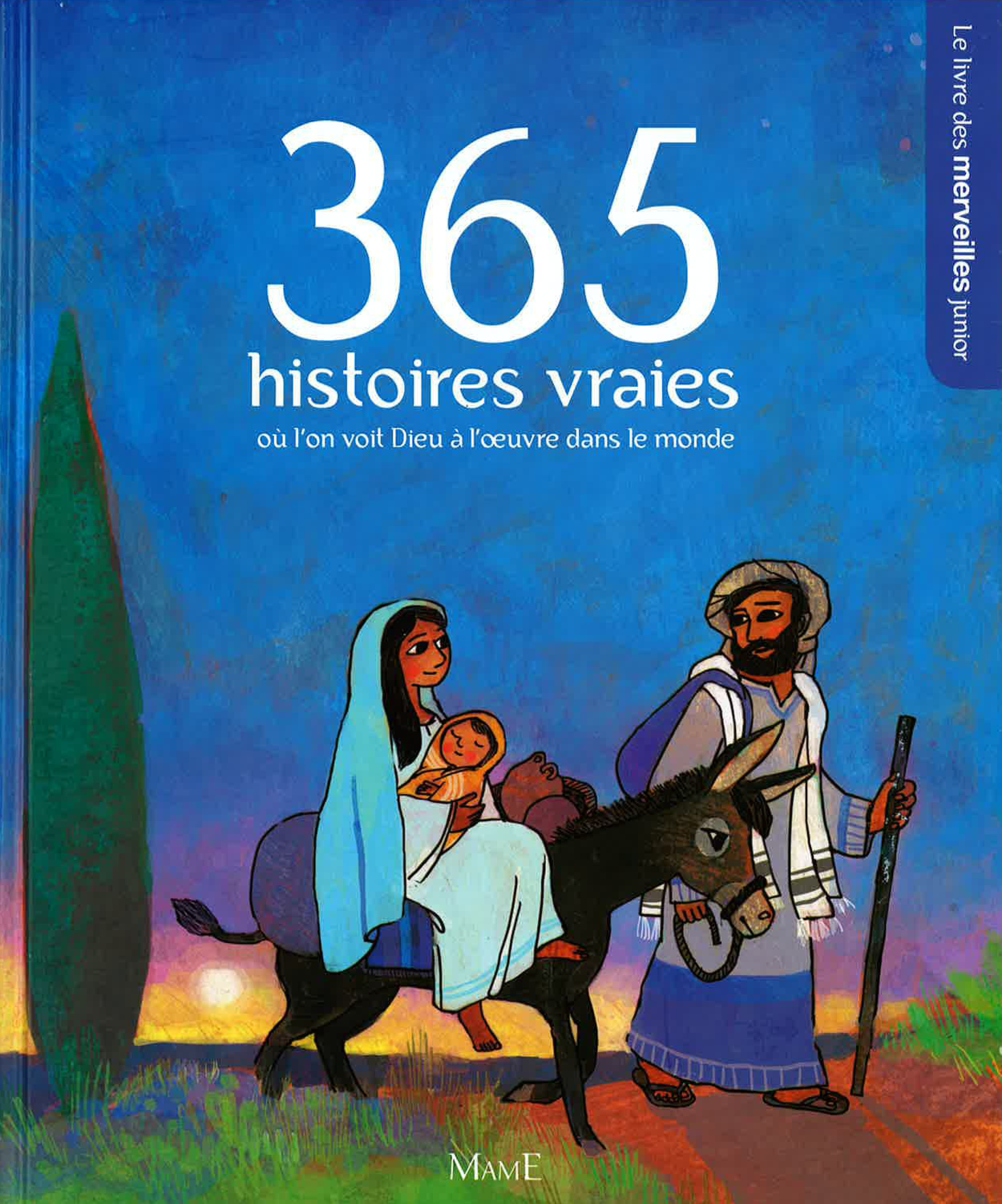 365 HISTOIRES VRAIES OU L'ON VOIT DIEU A L'OEUVRE DANS LE MONDE