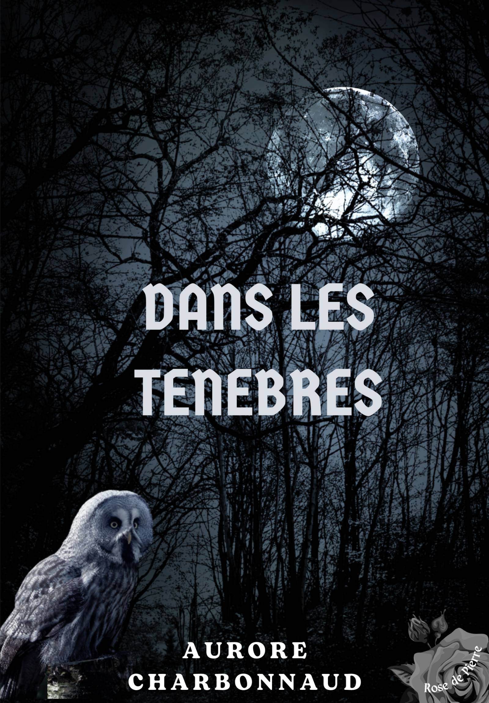 Dans les ténèbres