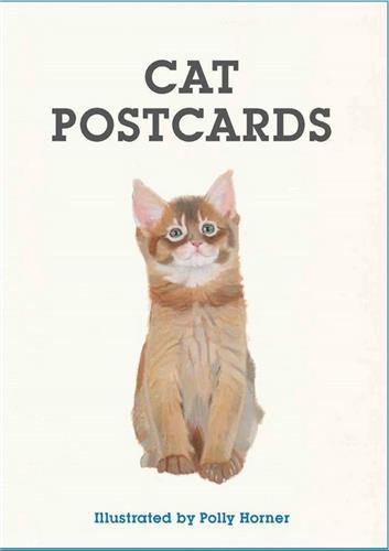 Cat Postcards /anglais