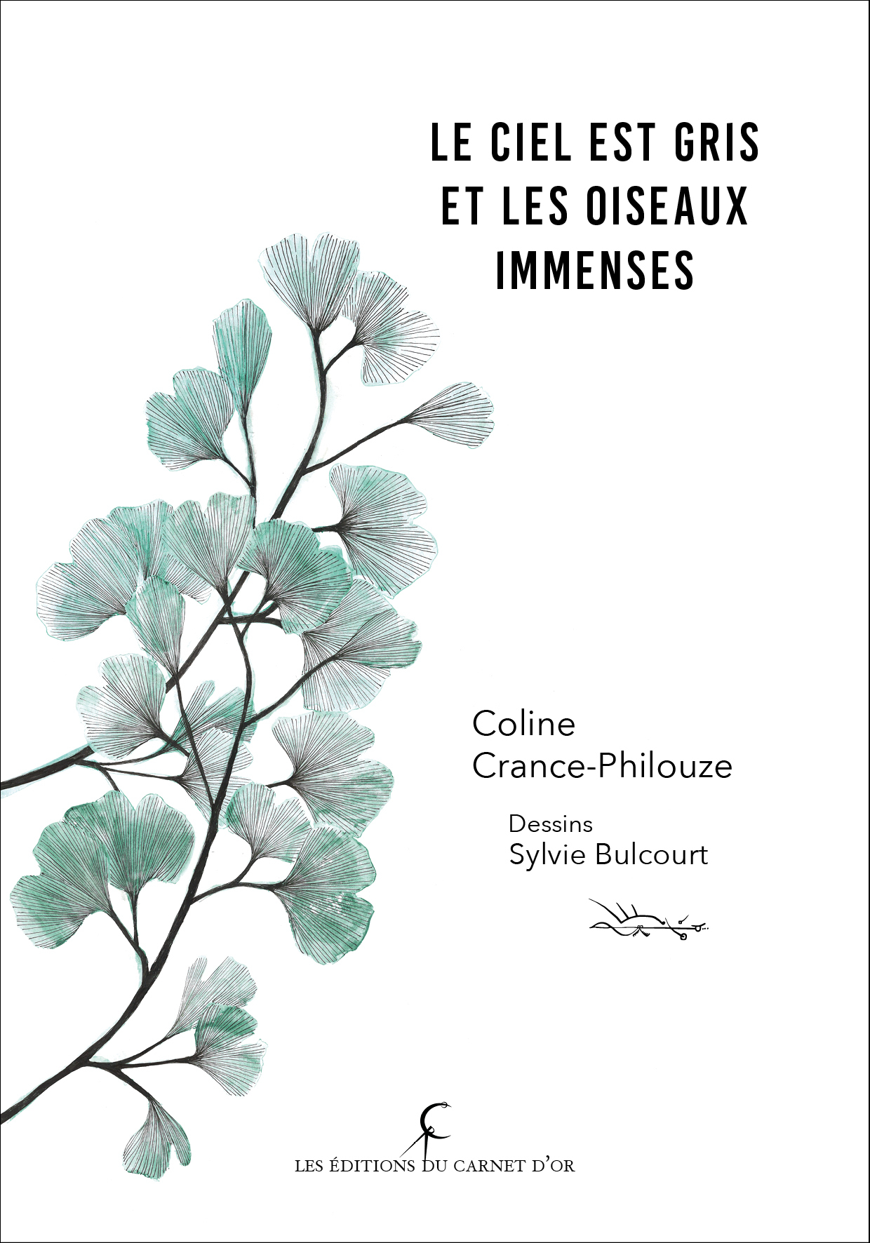 Le ciel est gris et les oiseaux immenses