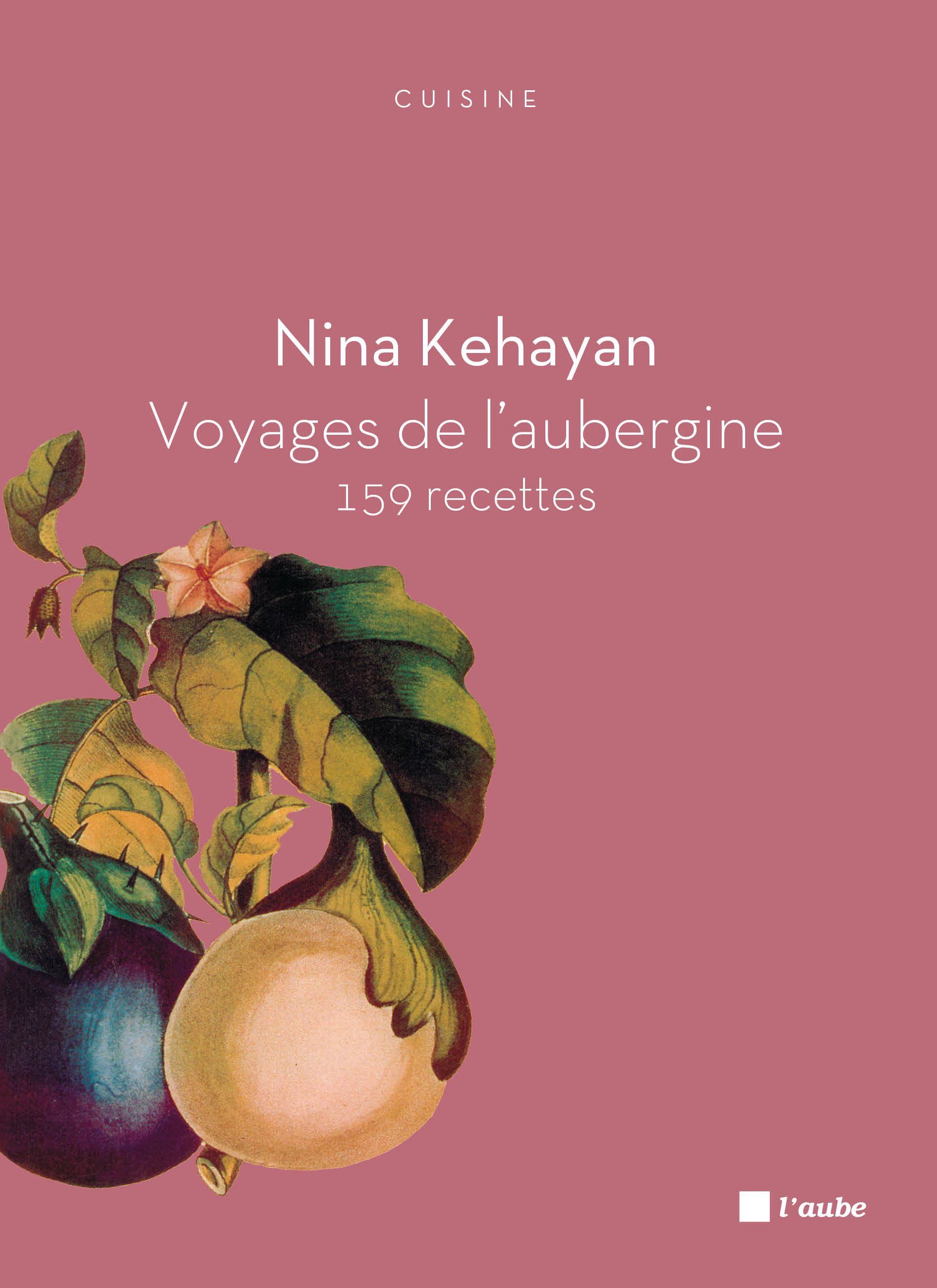VOYAGES DE L'AUBERGINE - 159 RECETTES