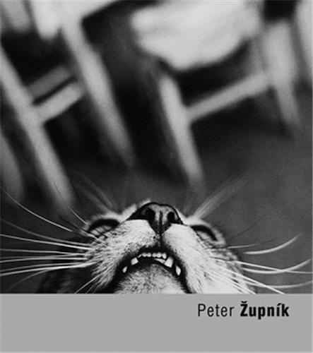 Peter Zupnik (Torst 2011) /anglais