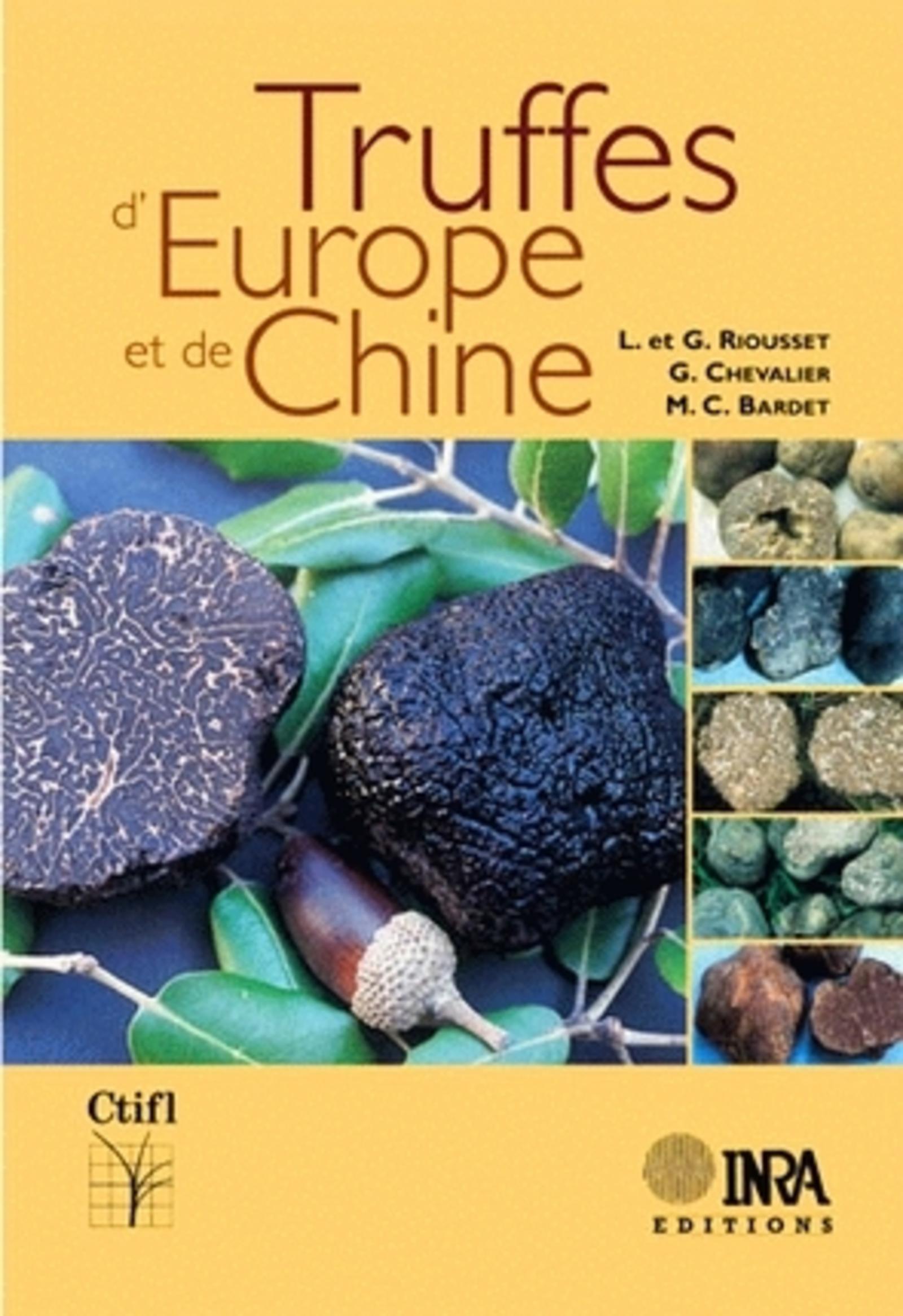 TRUFFES D'EUROPE ET DE CHINE