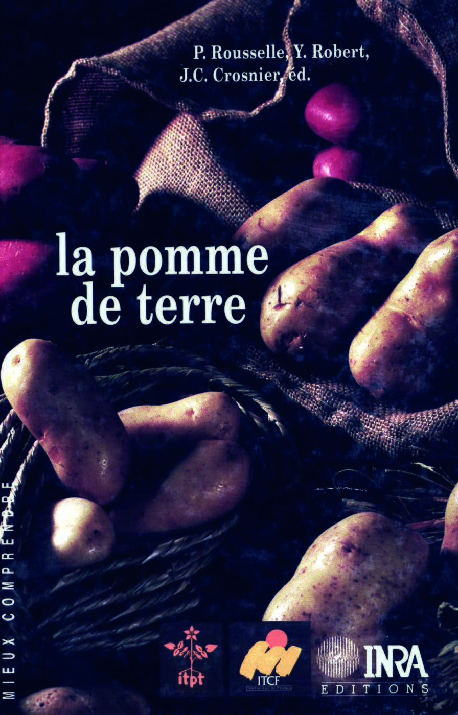 La pomme de terre