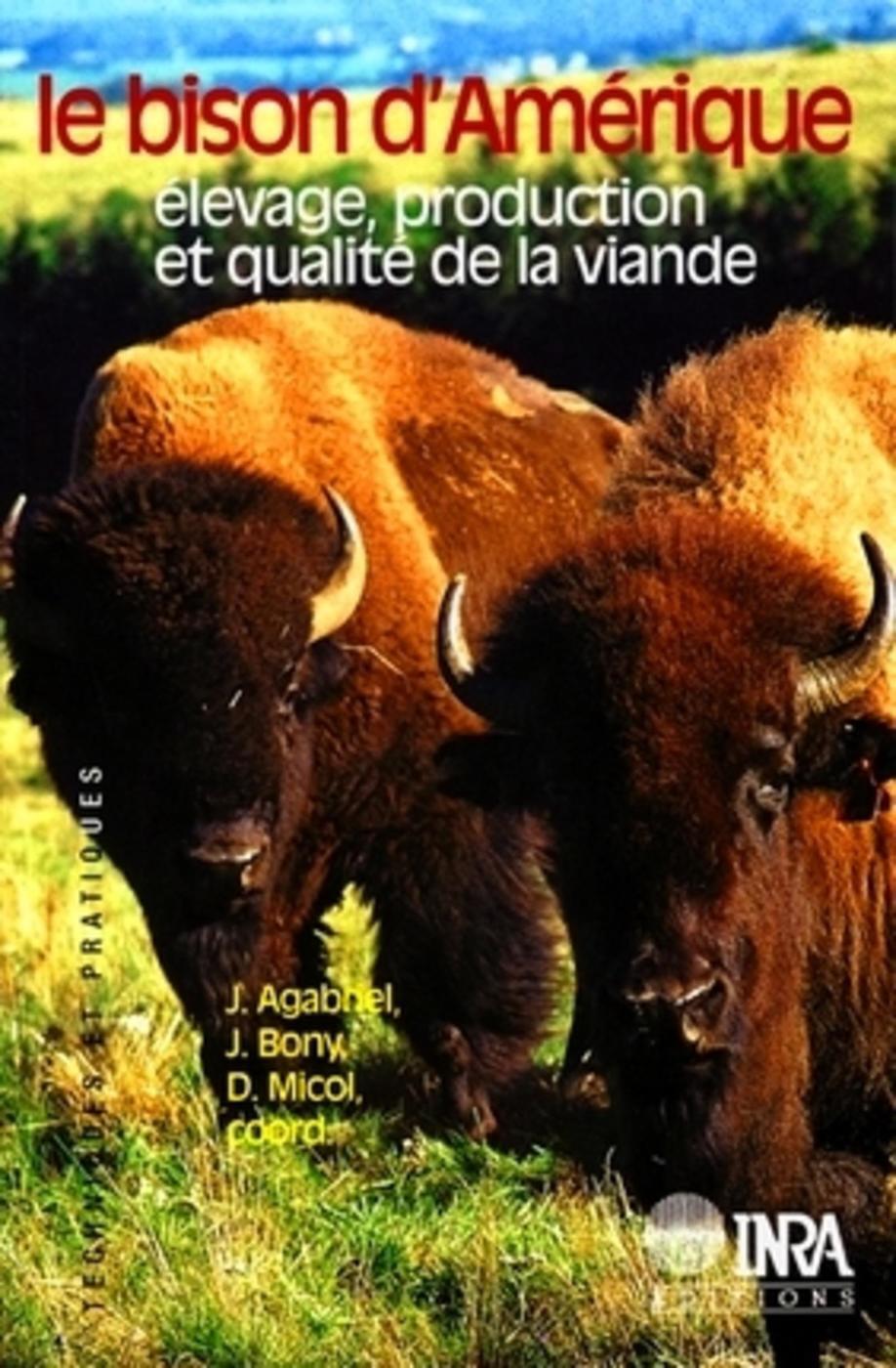 Le bison d'Amérique