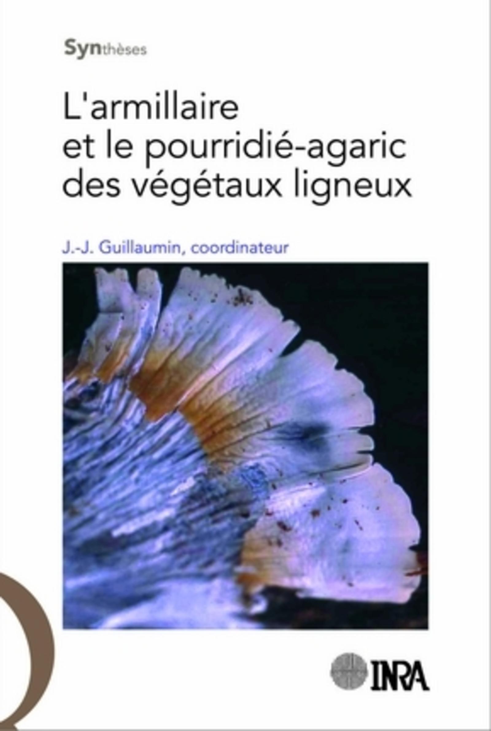 L'armillaire et le pourridié-agaric des végétaux ligneux