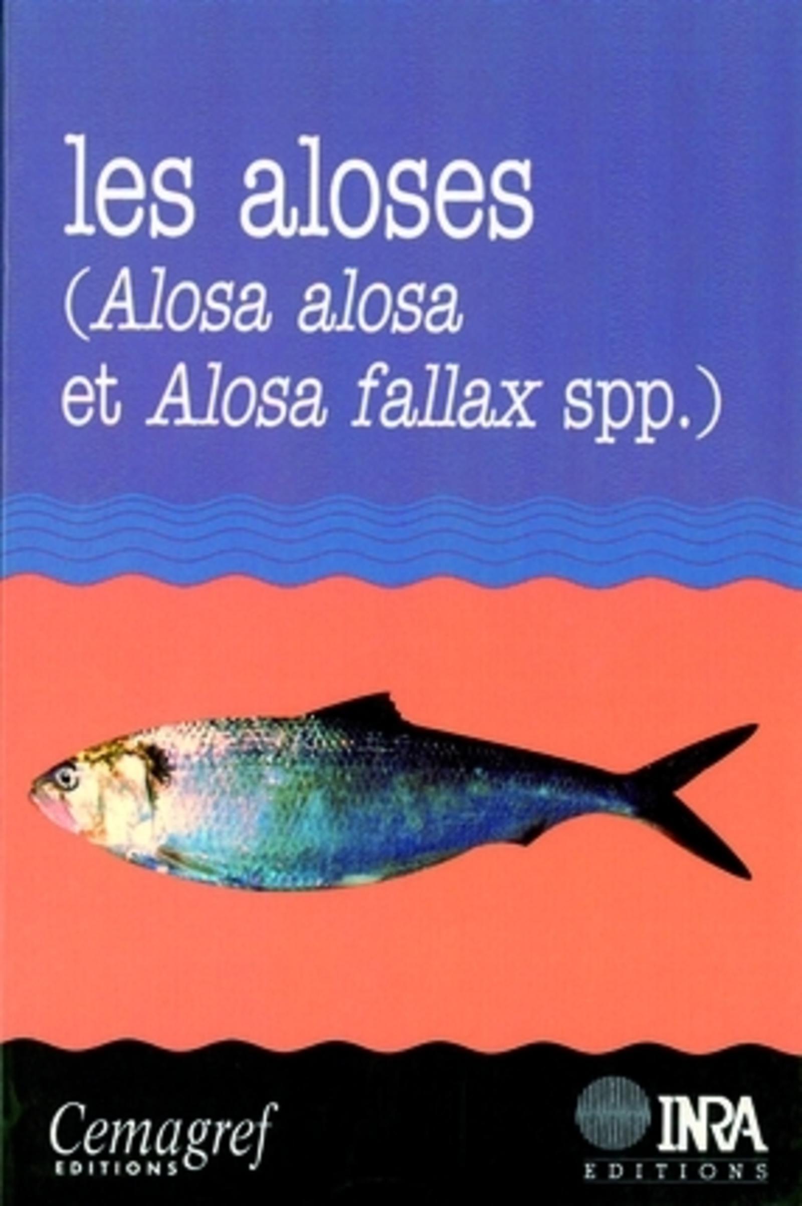 Les aloses (Alosa alosa et Alosa fallax spp.)