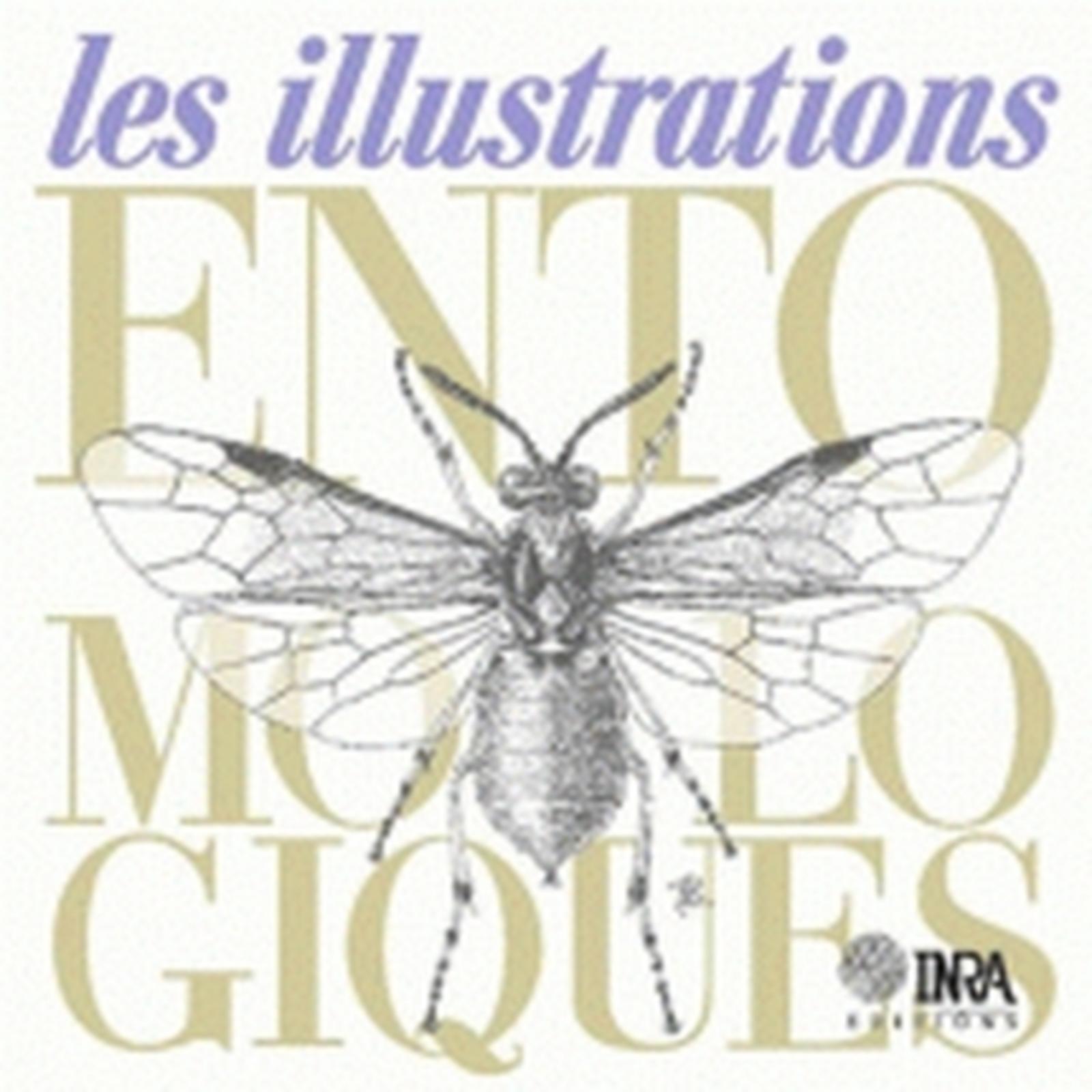 LES ILLUSTRATIONS ENTOMOLOGIQUES