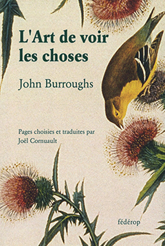 L'ART DE VOIR LES CHOSES