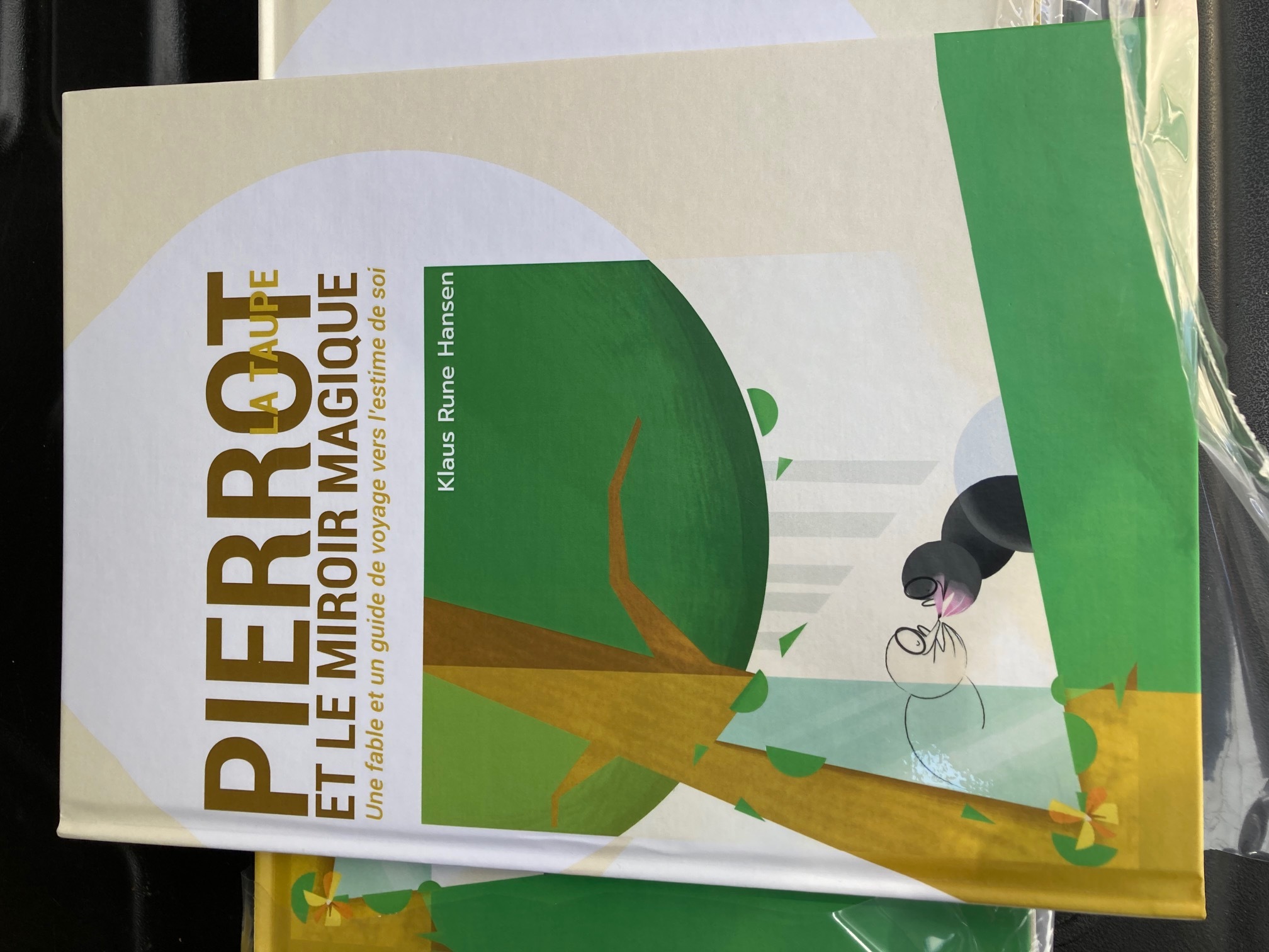 Pierrot la Taupe et le Miroir Magique