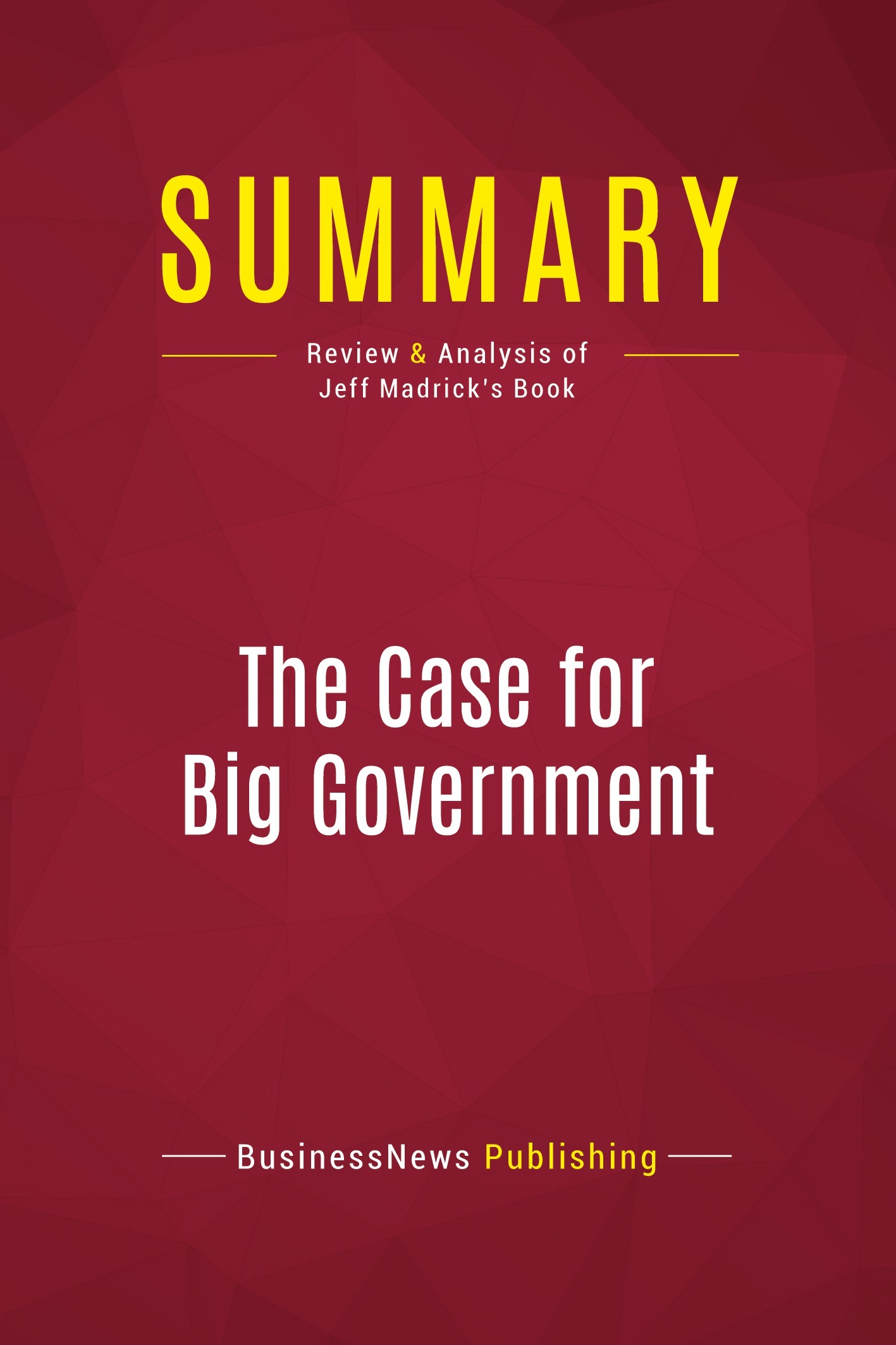 Summary: The Case for Big Government