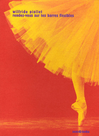 Rendez-vous sur tes barres flexibles - entretiens avec Gérard-Georges Lemaire