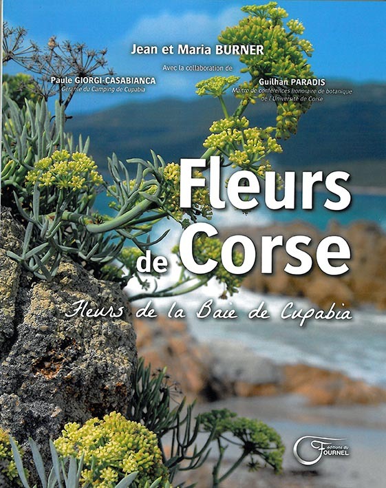 Fleurs de Corse - fleurs de la baie de Cupabia