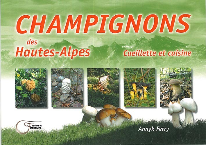 Champignons des Hautes-Alpes - cueillette et cuisine