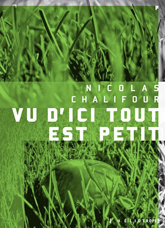 Vu d'ici tout est petit - Suivi de Vert de gris