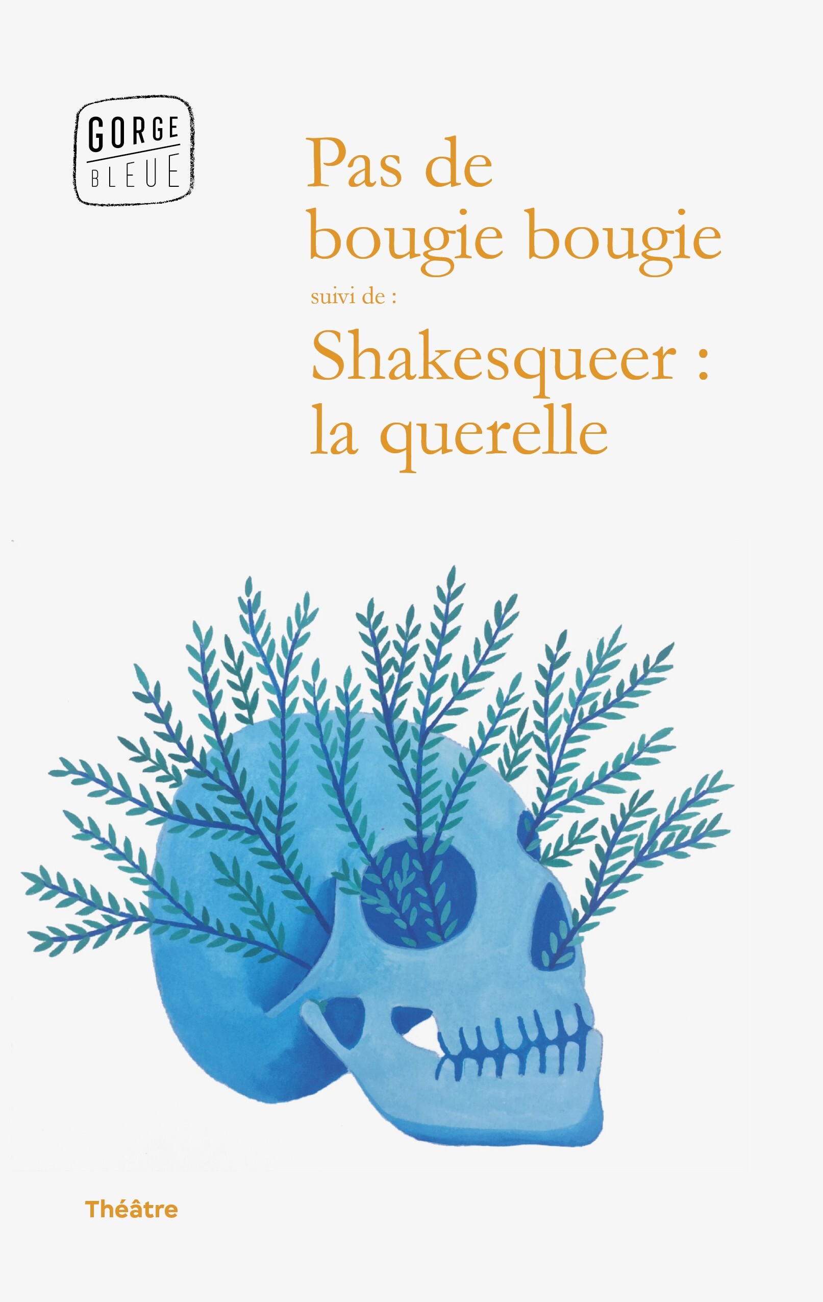 Pas de bougie bougie suivi de Shakesqueer : la querelle