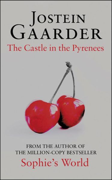 The Castle In The Pyrenees