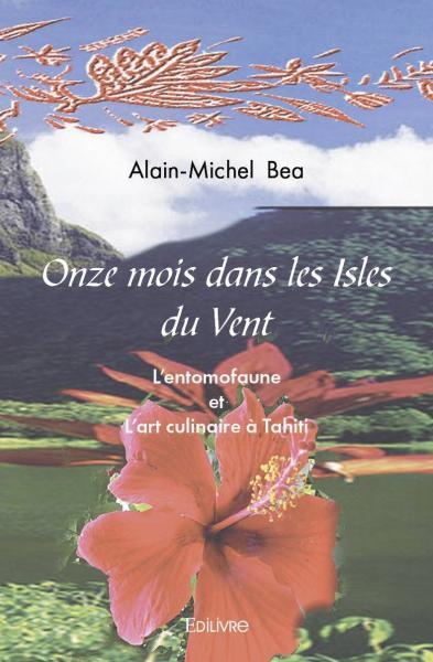 Onze mois dans les isles du vent