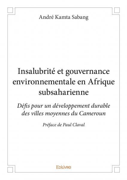 Insalubrité et gouvernance environnementale en afrique subsaharienne