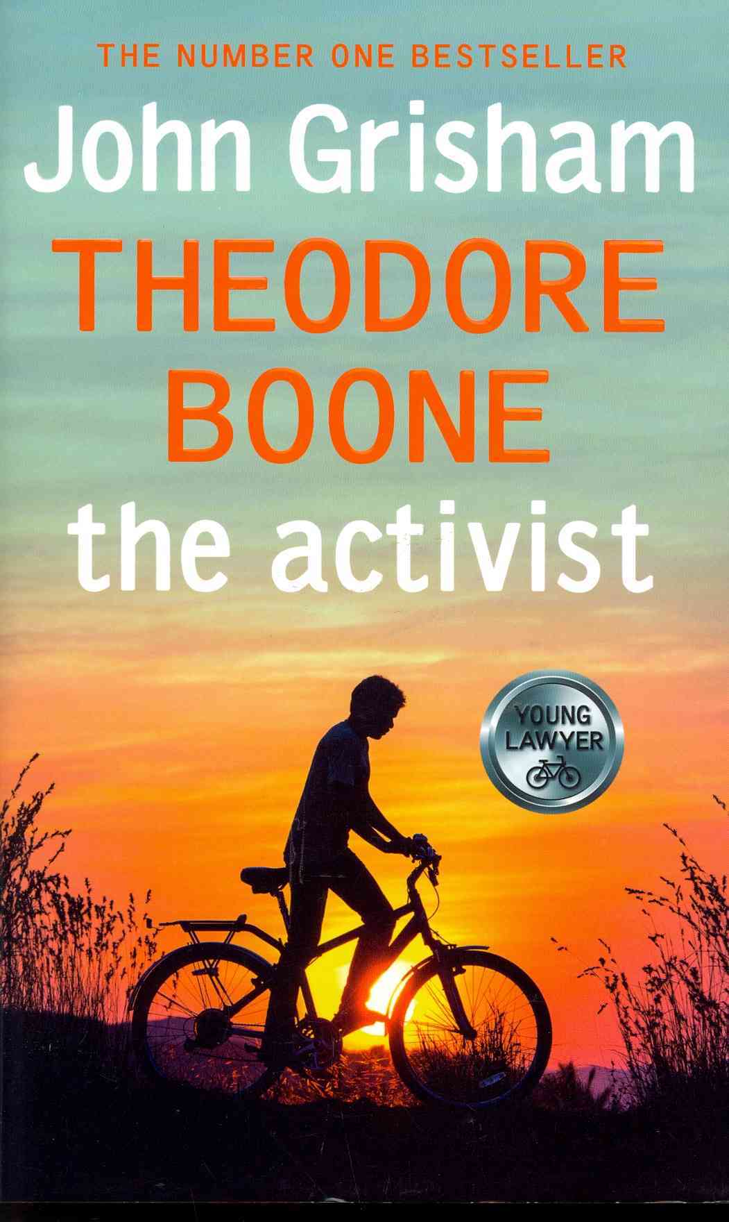 Theodore Boone: The Activist