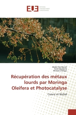 Recuperation des metaux lourds par Moringa Oleifera et Photocatalyse