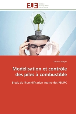 Modélisation et contrôle des piles à combustible