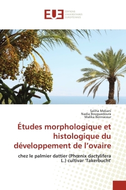 Études morphologique et histologique du développement de l'ovaire