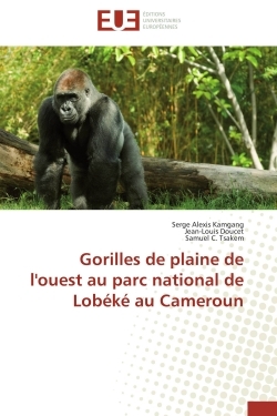 Gorilles de plaine de l'ouest au parc national de Lobéké au Cameroun
