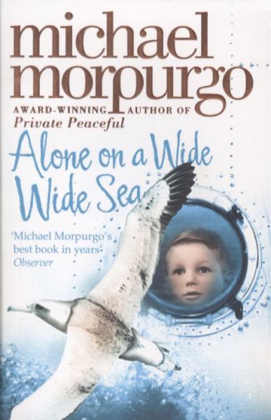 Alone on a Wide Wide Sea