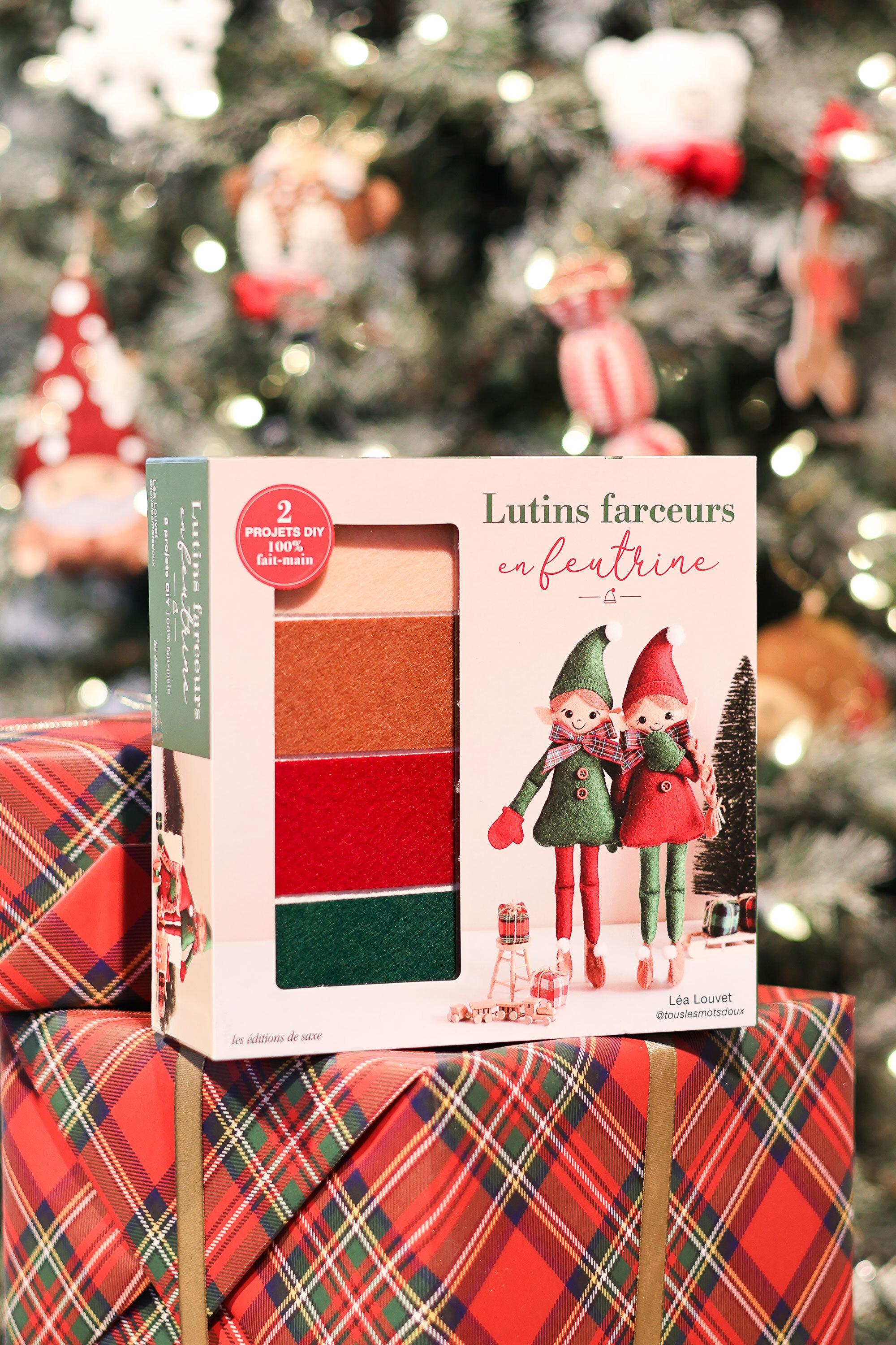 COFFRET Lutins farceurs en feutrine