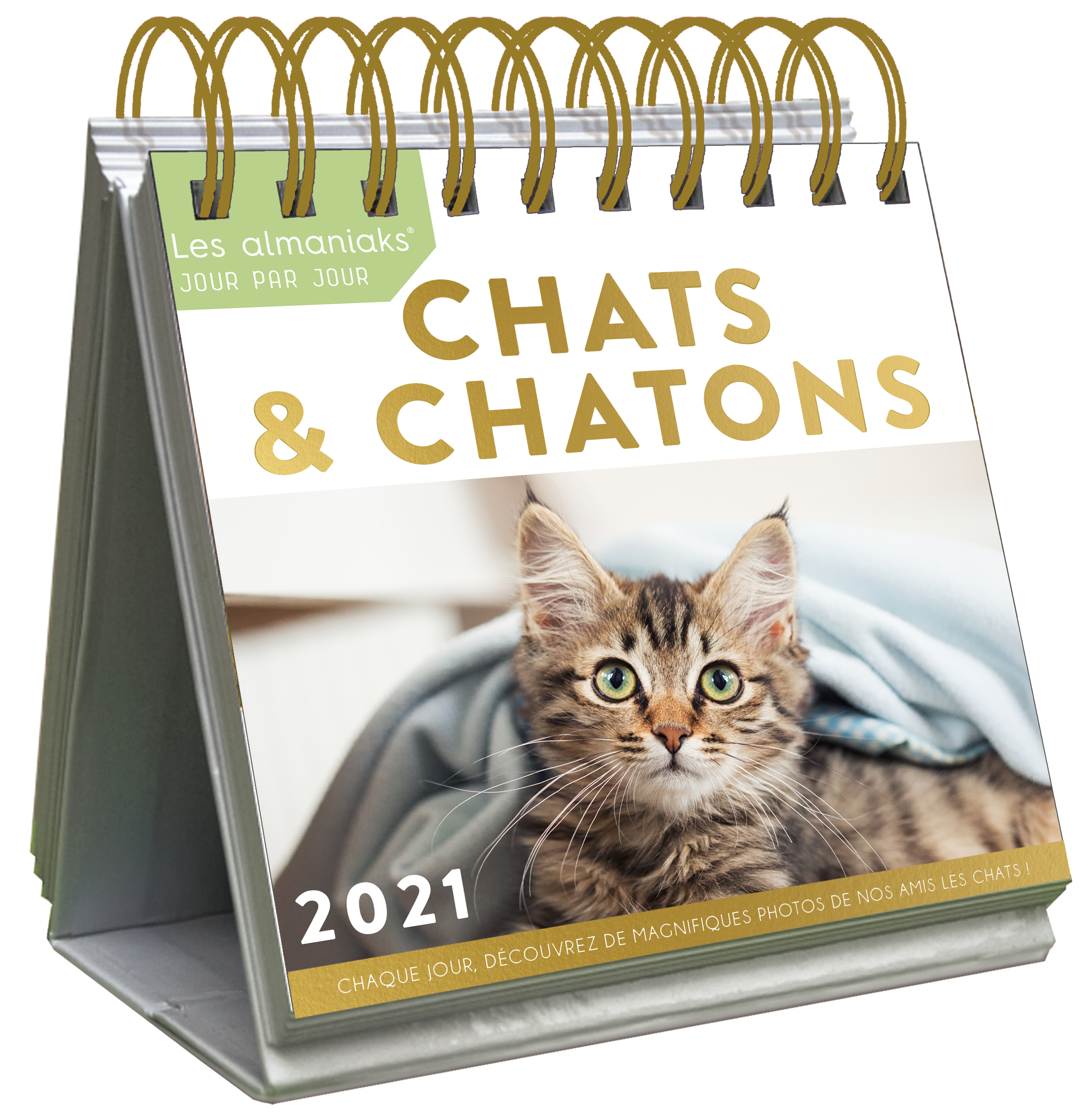 Le Grand Almaniak Chats et Chatons 2021