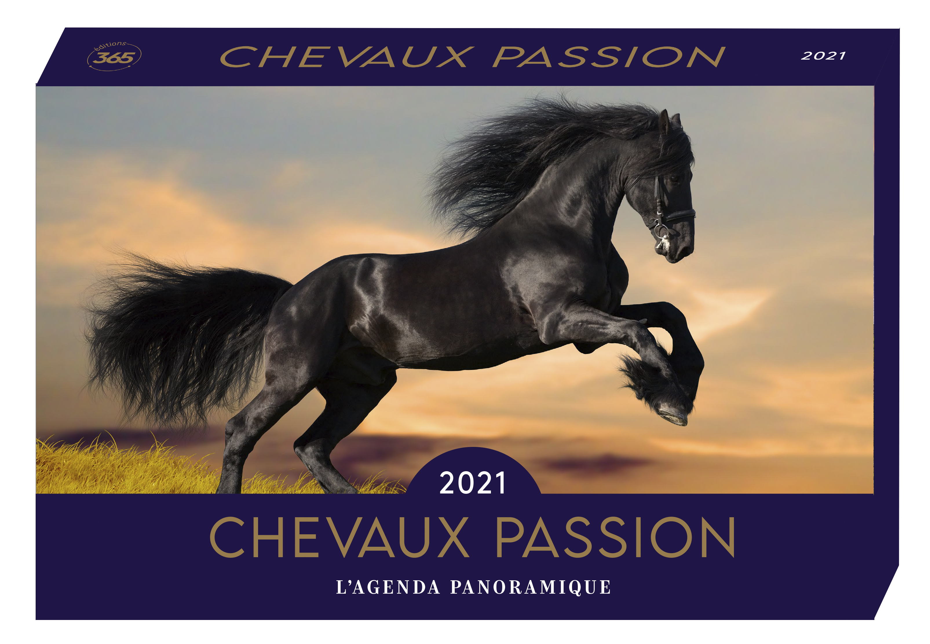 Agenda panoramique Chevaux passion 2021