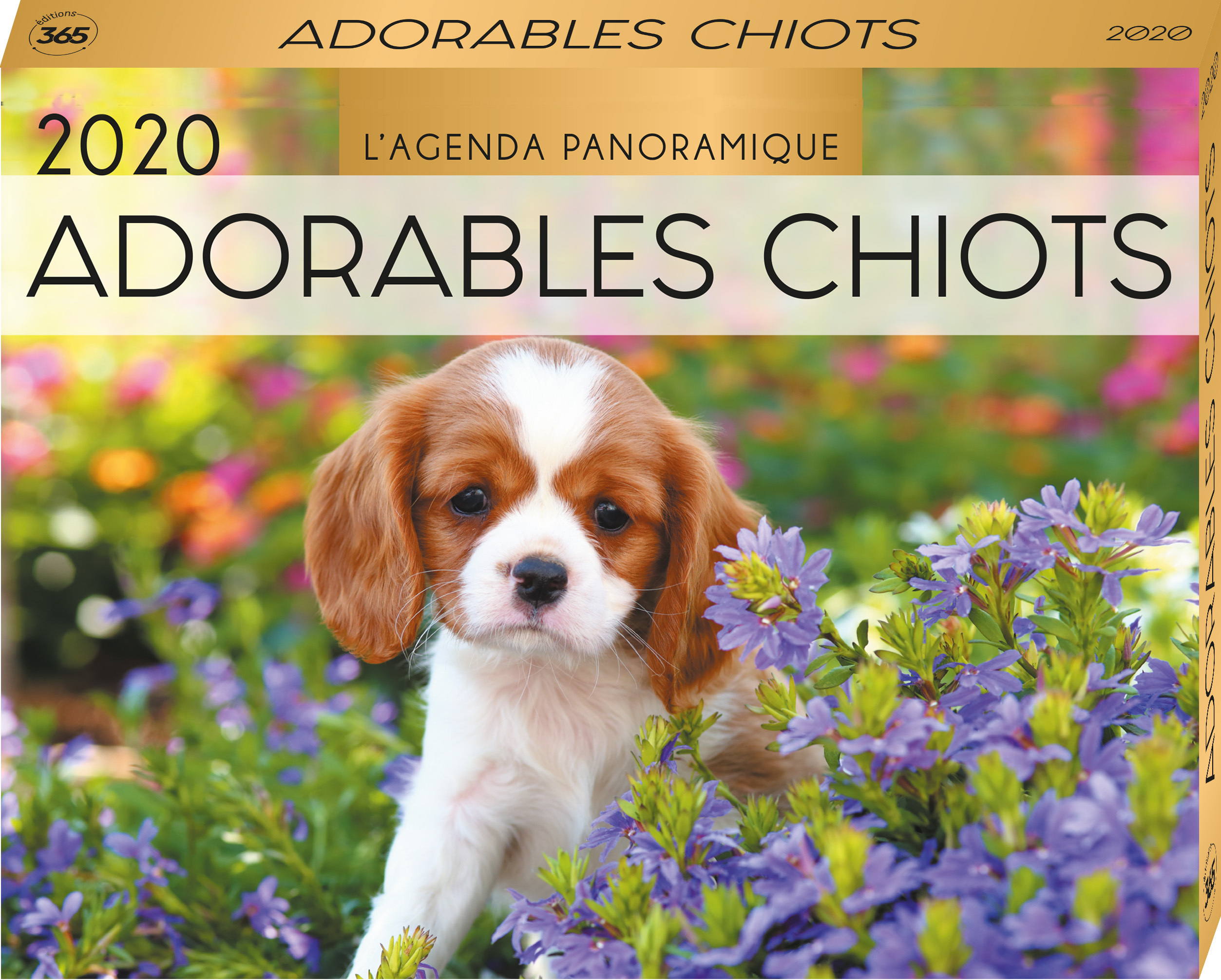 Agenda panoramique Adorables chiots 2020