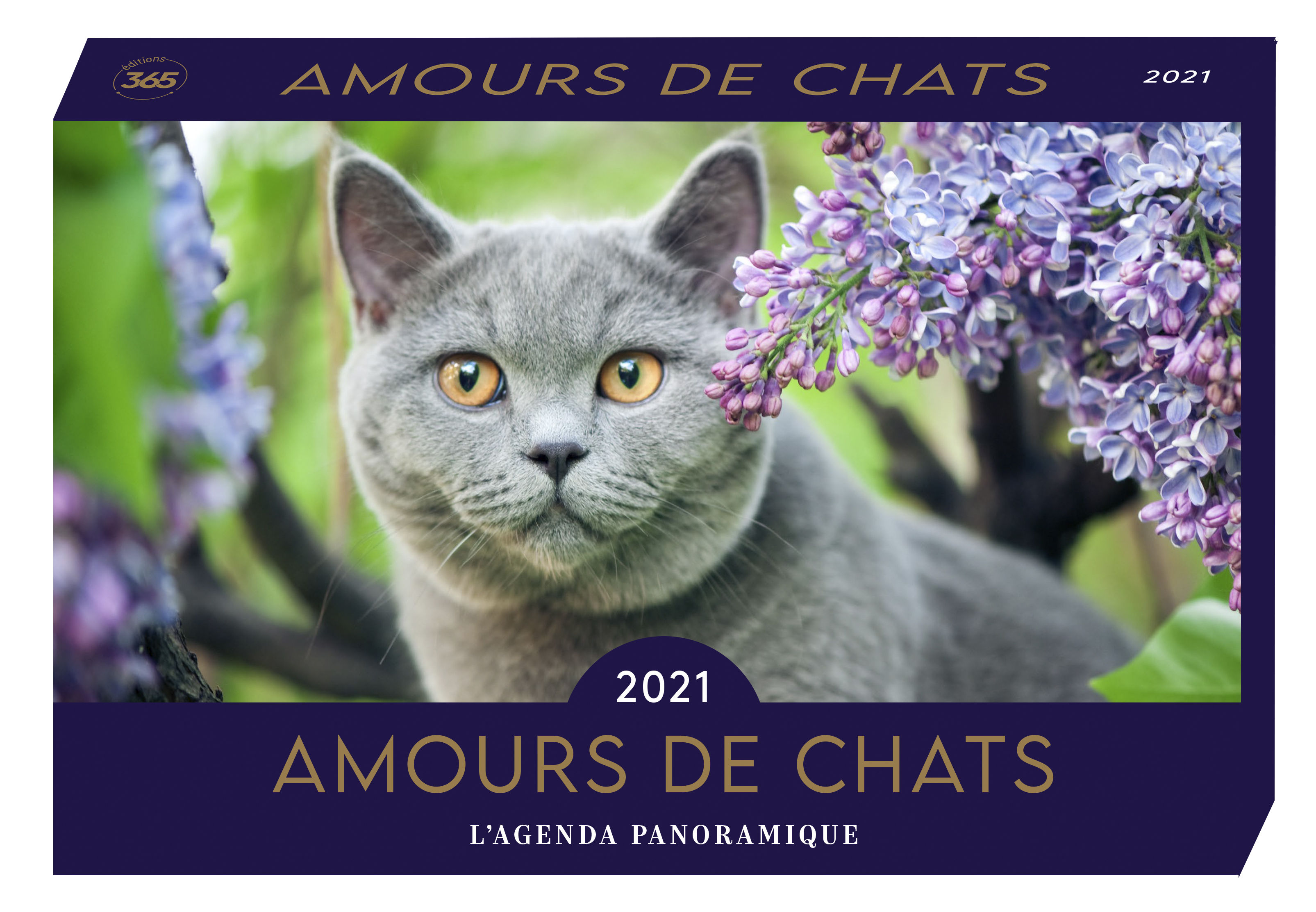 Agenda panoramique Amours de chats 2021