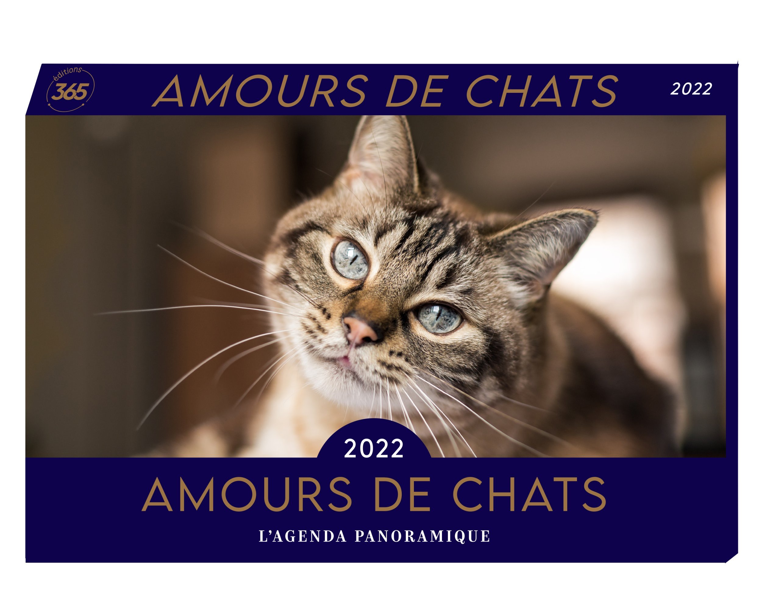 Agenda panoramique Amours de chats 2022