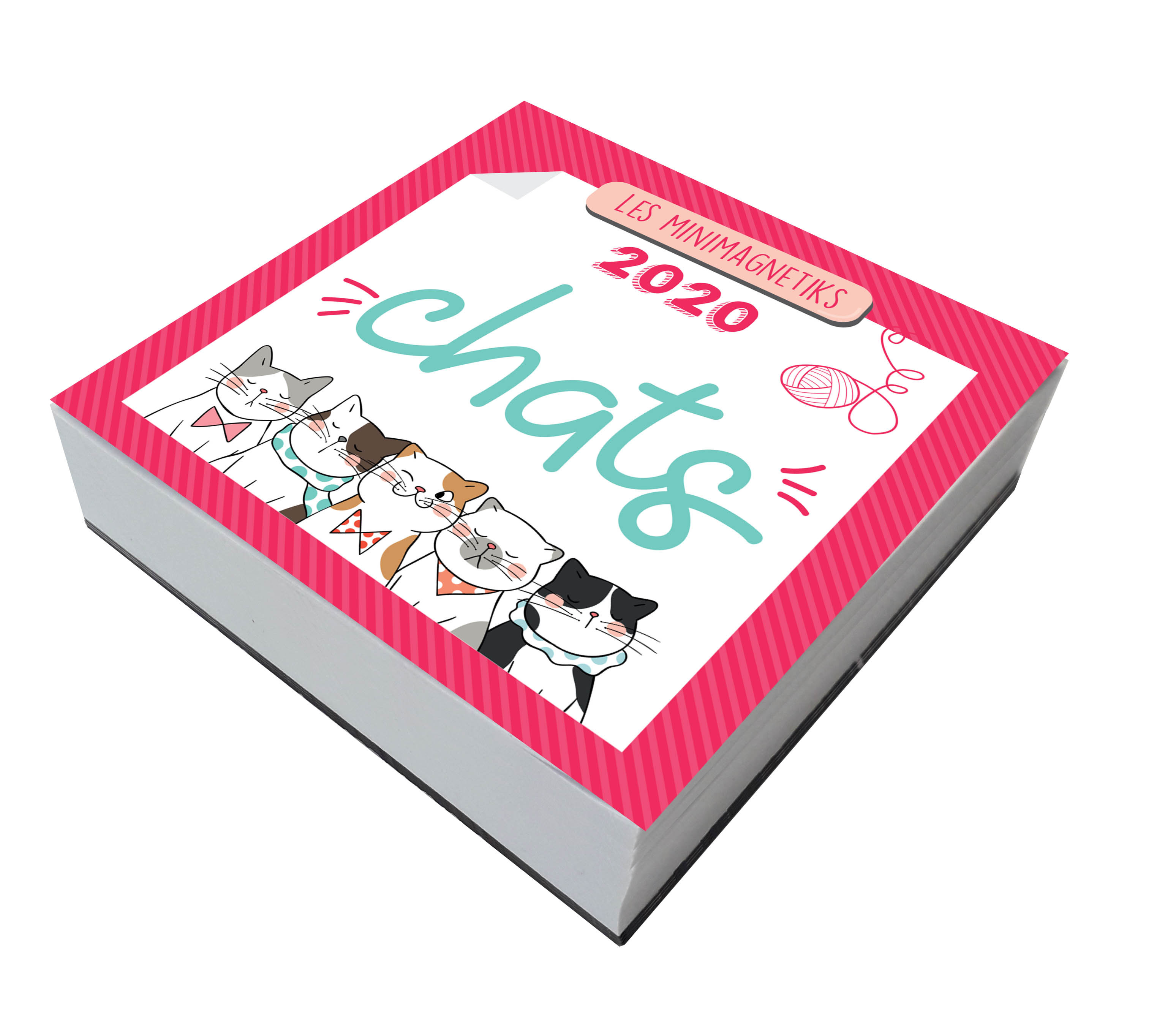 Minimagnetik Chats 2020