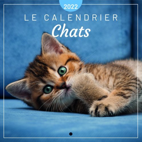 Le calendrier Chats 2022