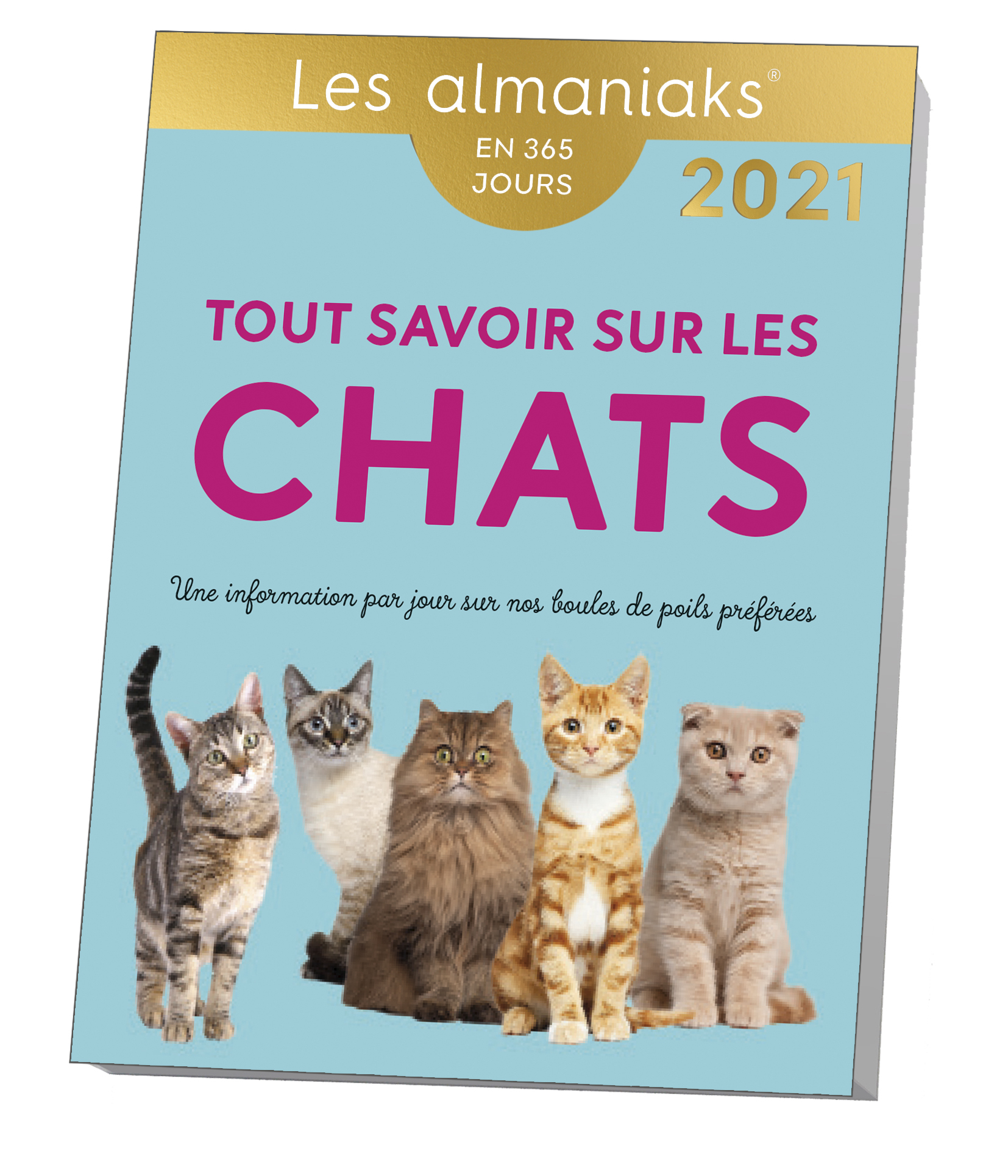 Almaniak Tout savoir sur les chats 2021