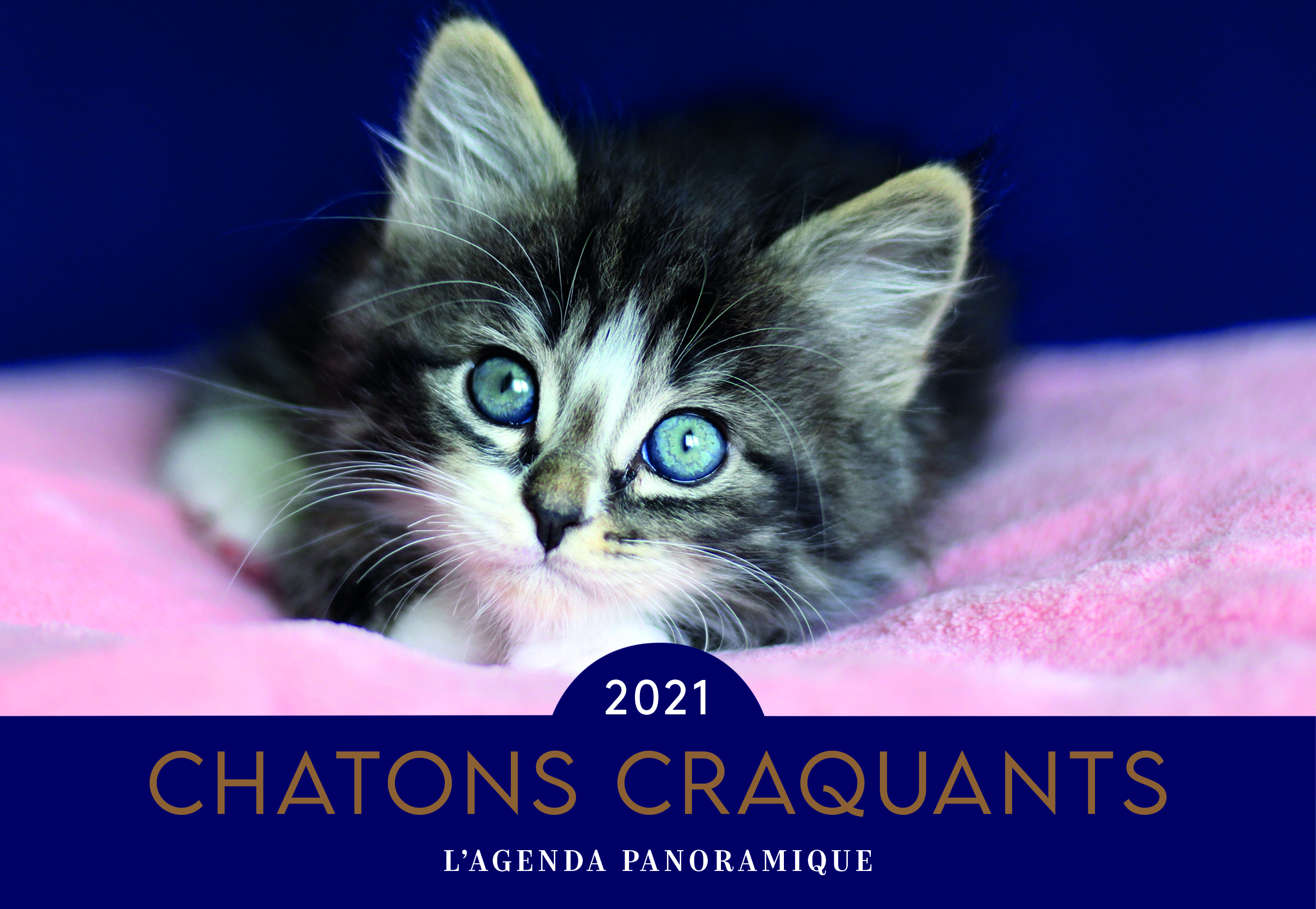 Agenda panoramique Chatons craquants 2021