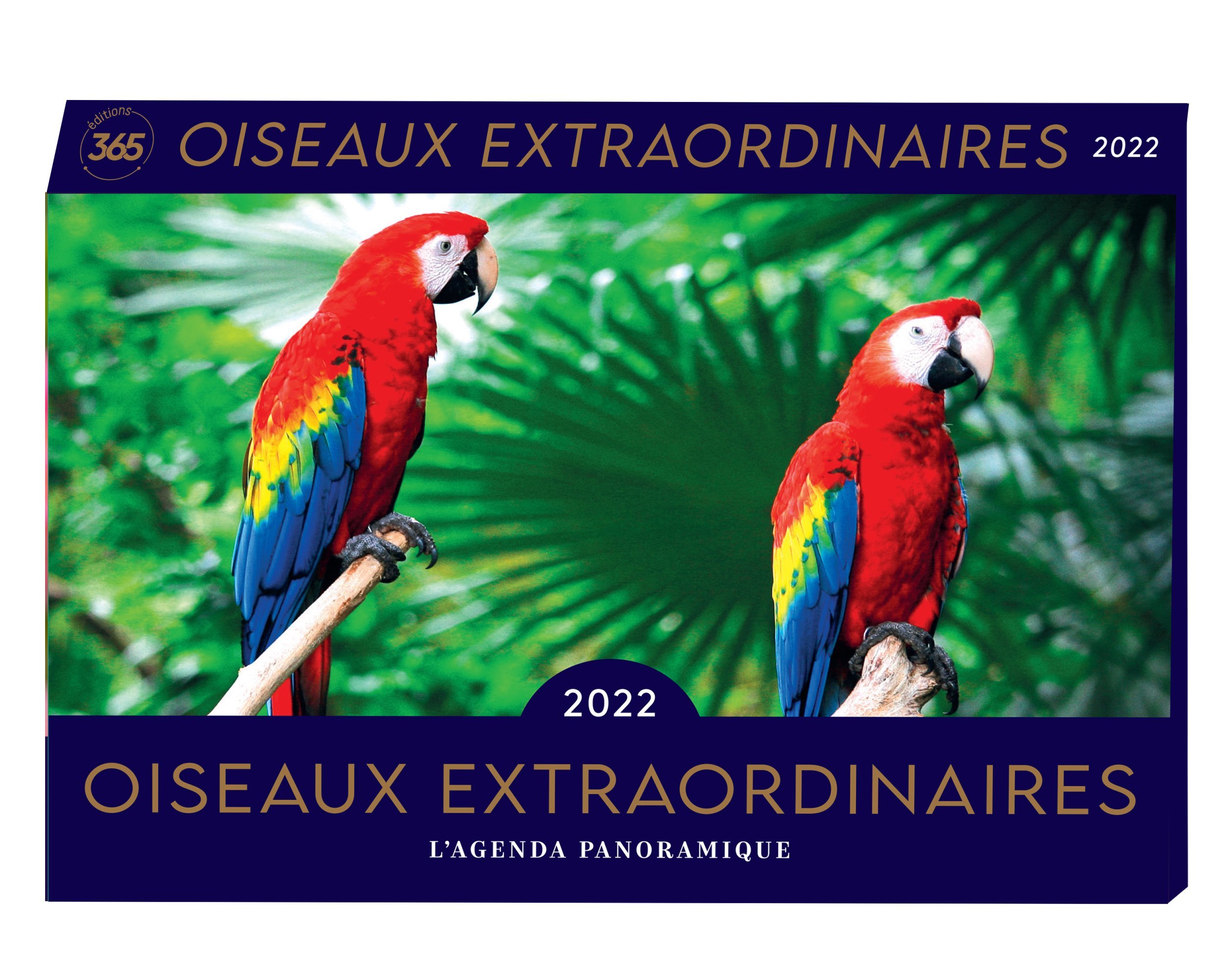 Agenda panoramique Oiseaux extraordinaires 2022