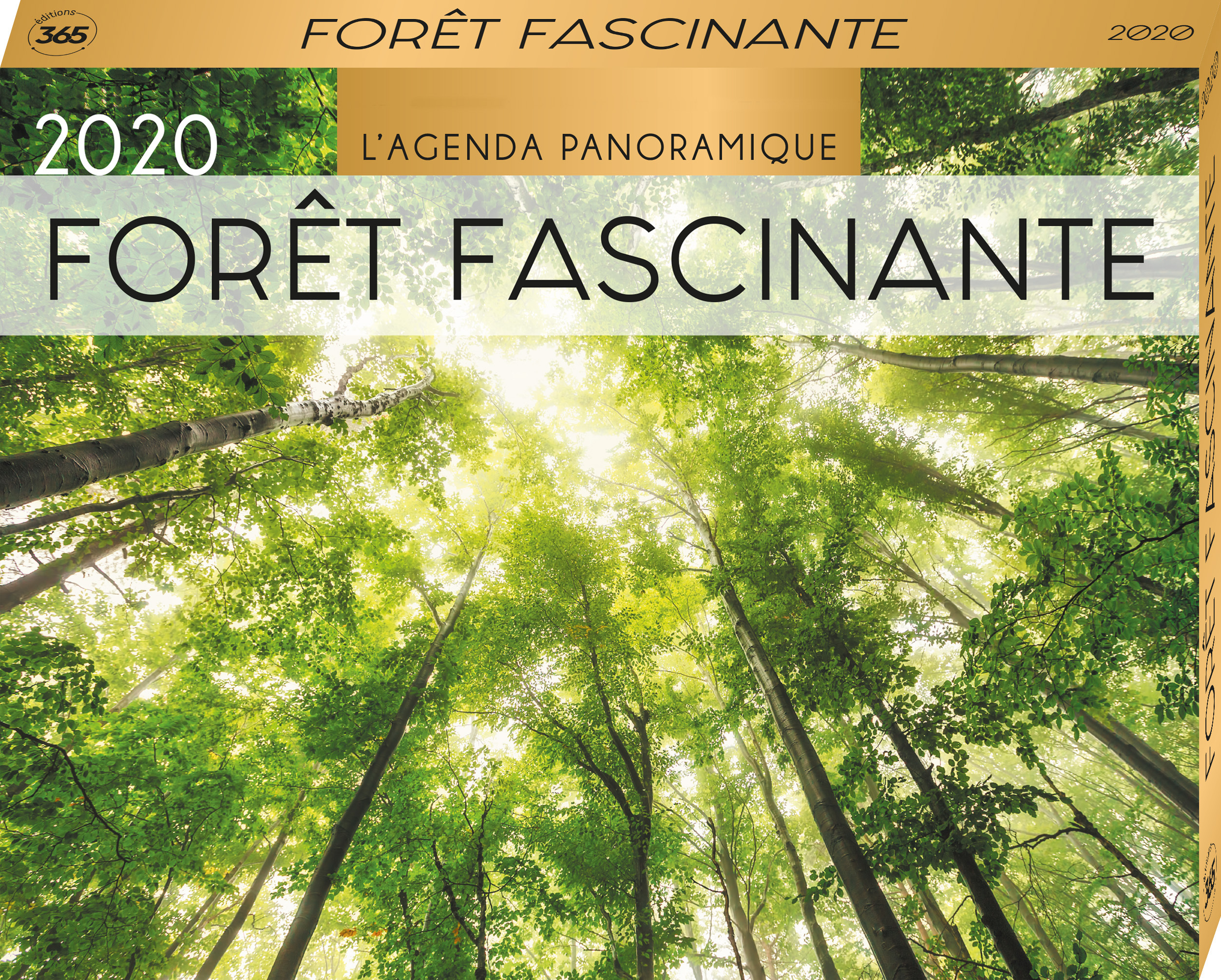 Agenda panoramique Forêt fascinante 2020