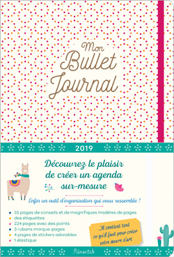 Mon bullet journal Mémoniak 2019