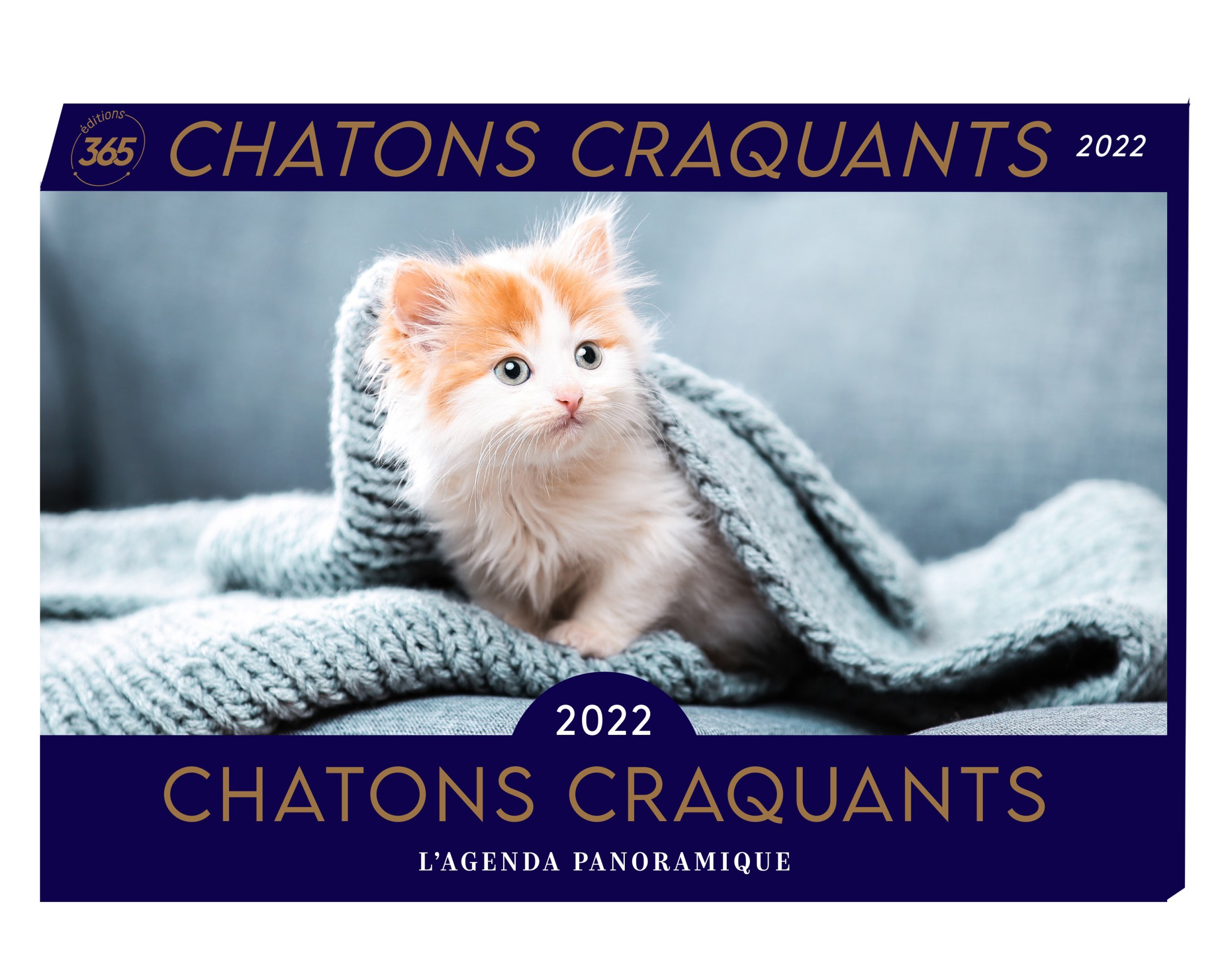Agenda panoramique Chatons craquants 2022