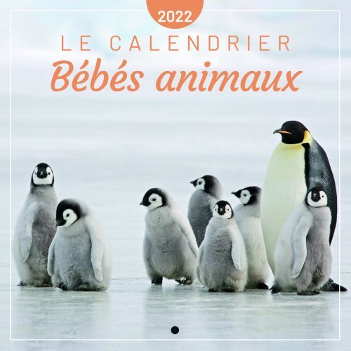 Le calendrier Bébés animaux 2022