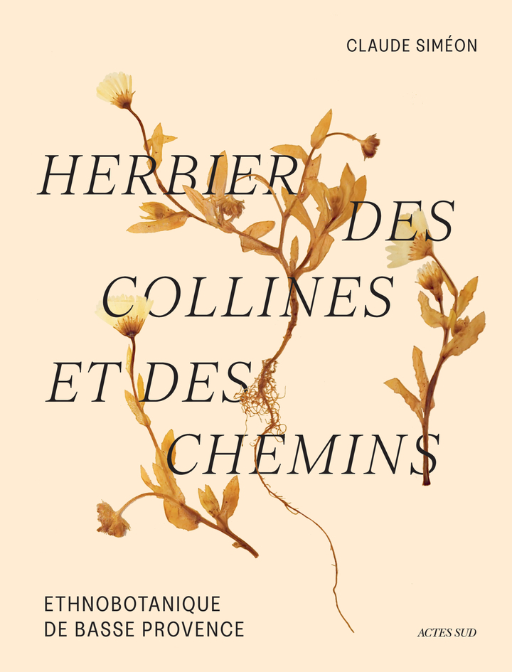 Herbier des collines et des chemins