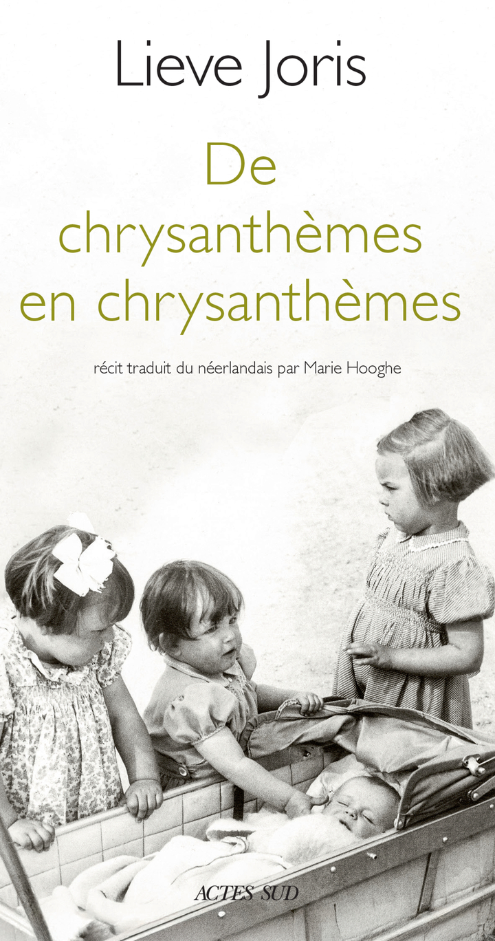 De chrysanthèmes en chrysanthèmes
